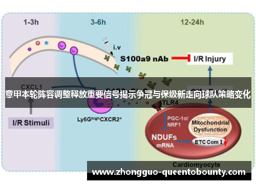 意甲本轮阵容调整释放重要信号揭示争冠与保级新走向球队策略变化